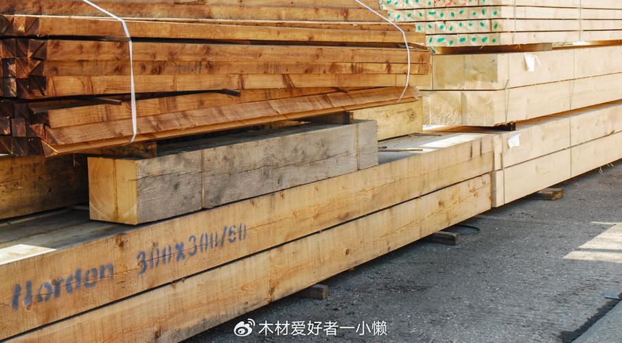 全球木材行业遭受运输冲击,中国木材市场压力与潜力并存